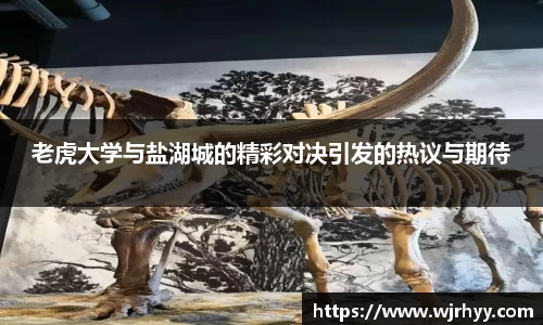 智博体育